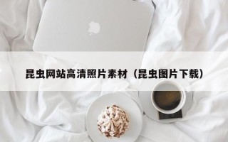 东平昆虫网站高清照片素材（昆虫图片下载）